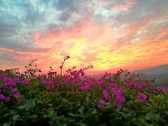 -火炉山森林公园