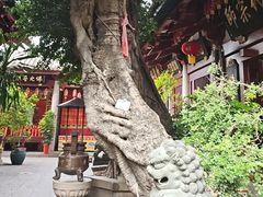 -叩齿古寺