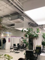 -Hair  Gallery