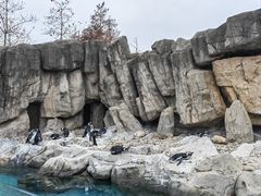-上海野生动物园