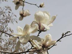 -睦南公园