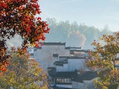 -塔川景区