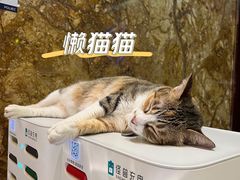 -萧邦音乐会所KTV·蒸汽活海鲜自助(福田店)