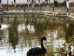 -北京市海淀外国语实验学校