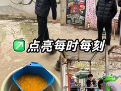 -东湖小天池真人CS彩弹野战基地