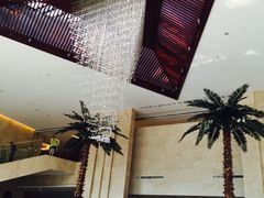 -常州环球恐龙城维景国际大酒店