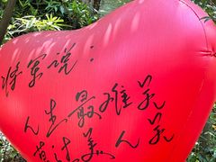 -将军关探险漂流