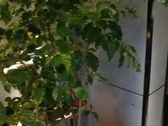 -霖公馆SPA·足道(普善路店)