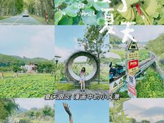 -红山村