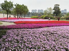 -文华公园(禅城区)