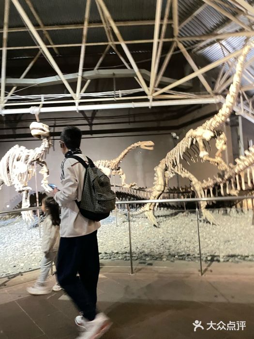 世界恐龙谷景区图片