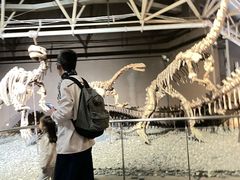 -世界恐龙谷景区