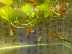 -捌楼咖啡书吧(南开店)