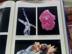 -中国地质大学逸夫博物馆