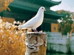 -重元寺