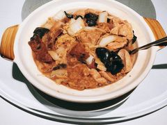 -新同乐鱼翅酒家(美丽华店)