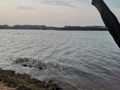 -北龙湖湿地公园
