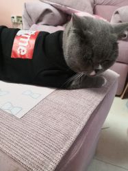 -Pink You美甲美睫纹绣定制中心