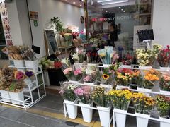 -溪岸路花鸟市场