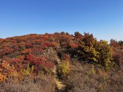 -北京西山国家森林公园