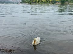 -门城湖公园