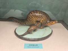 -国家自然博物馆