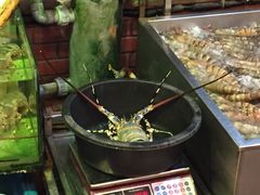 奶油龙虾-真浪大家乐海鲜餐馆