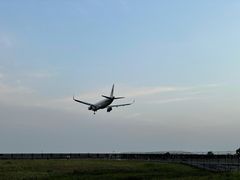 -空港花田景区