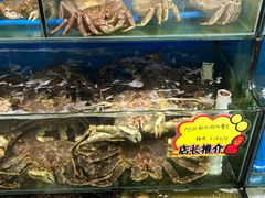 水产区-蚝专家(北滘店)