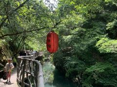 -石台牯牛降景区