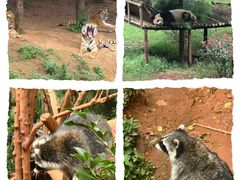 -云南野生动物园