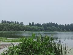 -秀水公园