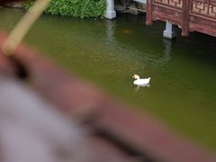 -豫园湖心亭茶楼