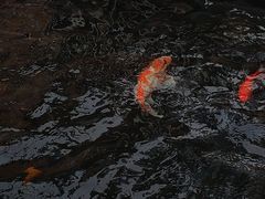 -什邡罗汉寺