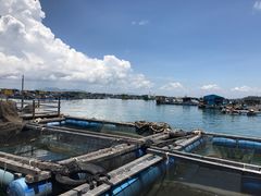 -海上驿站渔家菜馆