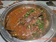 -全乐鱼馆·淳牌有机鱼直营店