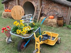 -HERRE·FARM 赫尔露营农场·团建聚会包场