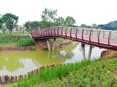 -王借岗森林公园