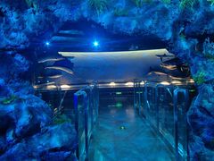 -陕西自然博物馆