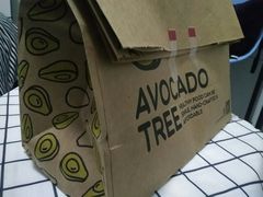 -油梨树AVOCADO TREE(顺义新国展店)