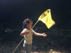 -牛背梁国家森林公园