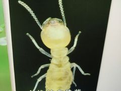 -上海昆虫博物馆