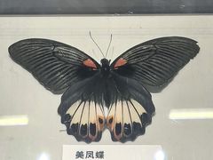 -四川大学博物馆