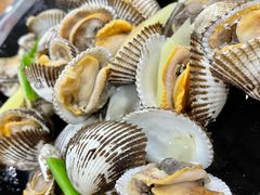 毛蚬-老虎滩大连海鲜烧烤(建邺云锦路总店)