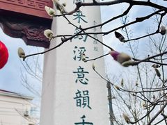 -三林塘老街