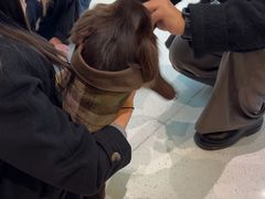 -帕帕拉兹宠物(亚洲旗舰店)