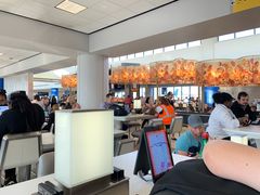 -纽瓦克自由国际机场