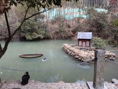 -东林大峡谷