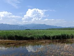 -野鸭湖国家湿地公园