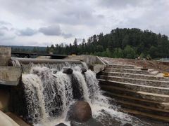 -五营红松林海景区